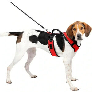 🐕‍🦺 PETSAFE EASY SPORT‎ 🐕‍🦺 DOG HARNESS 🐕‍🦺 SIZE MEDIUM 🐕‍🦺